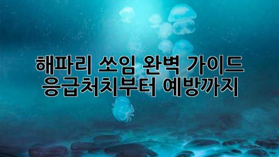 🏖️ 해파리 쏘임 완벽 가이드: 응급처치부터 예방까지! 🚑